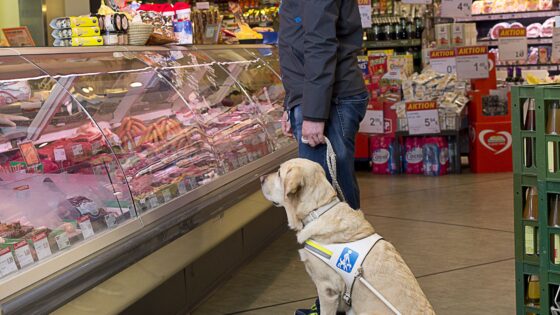 Ein Mann mittleren Alters steht mit Führhund an der Fleischtheke in einem Supermarkt. Er ist mittleren Alters und sportlich gekleidet.